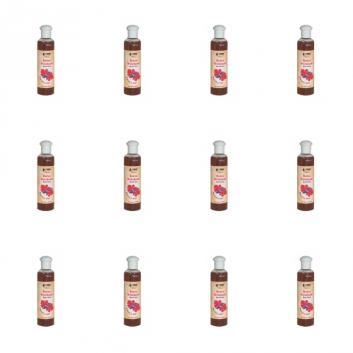 12 x Rotes Weinlaub Bein-Fluid 250ml Pullach Hof