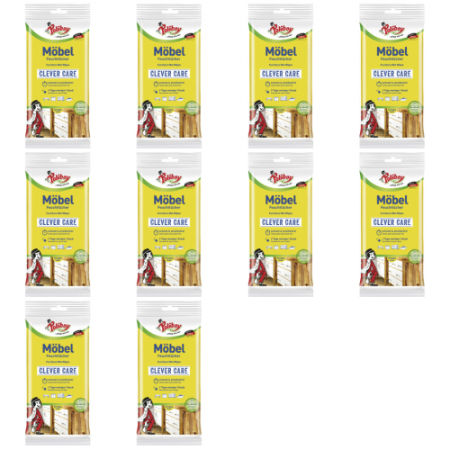 10 x Poliboy Mbel Feuchttcher Clever Care 24 Tcher
