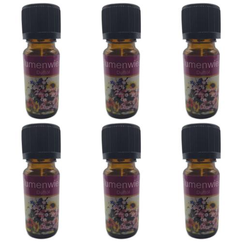6 x Duftl 10ml Grosse Auswahl II  Duftlampe Duftstein Aromal Tolle Dfte  - Auswahl: Blumenwiese