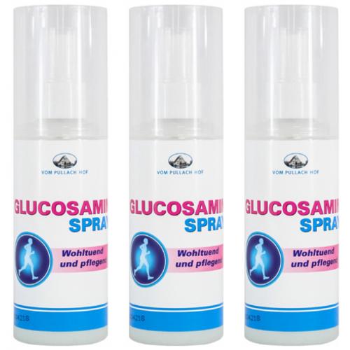 3 x Pullach Hof Spray 100ml Pflege - Auswahl: Glucosamin Spray