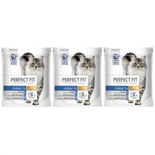 3 x perfectFit Indoor 1 + Huhn 1,4kg Beutel